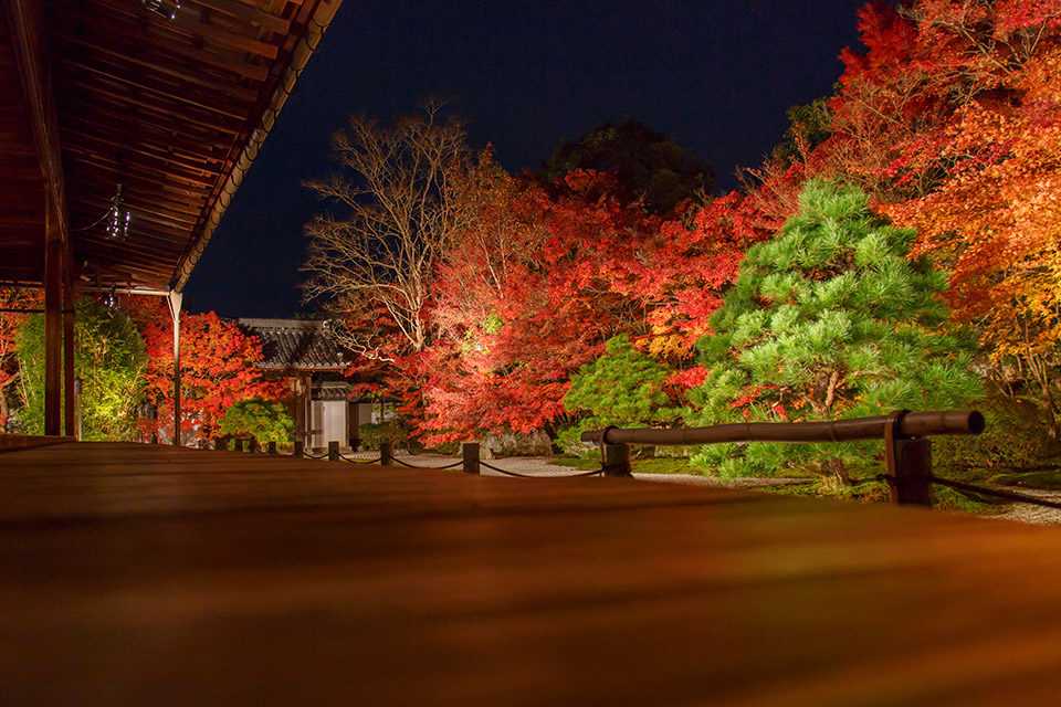 南禅寺紅葉ライトアップ