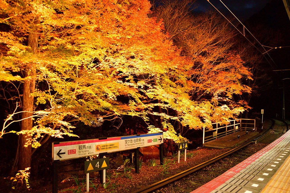 叡電貴船口駅の紅葉