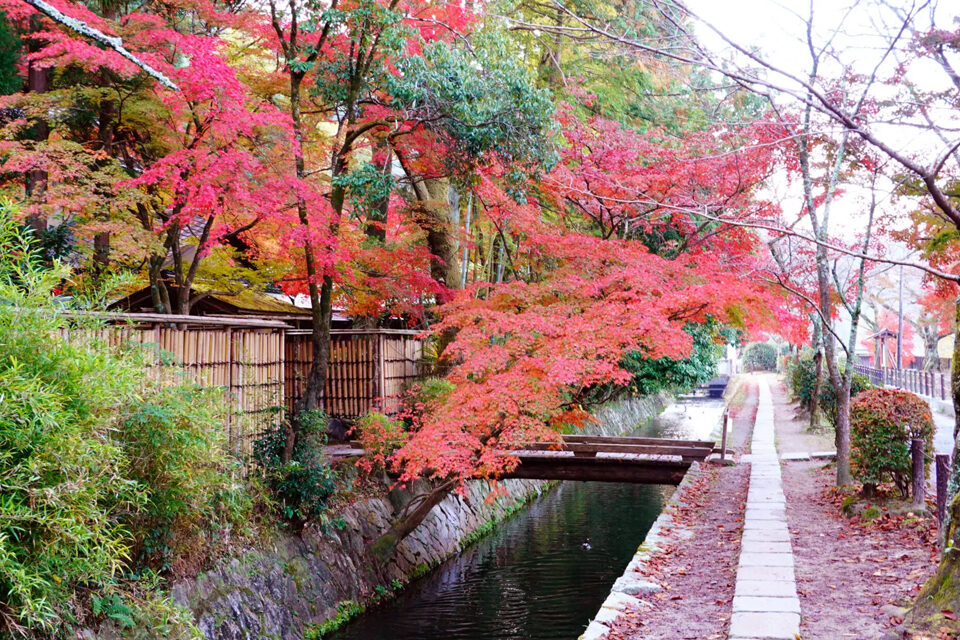 哲学の道 紅葉 京都