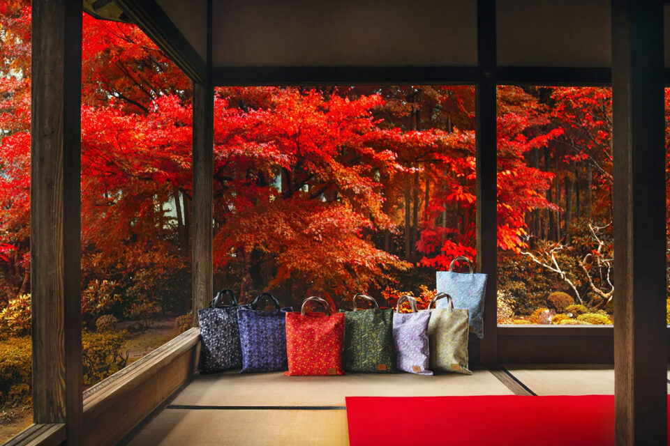 宝泉院 紅葉 京都