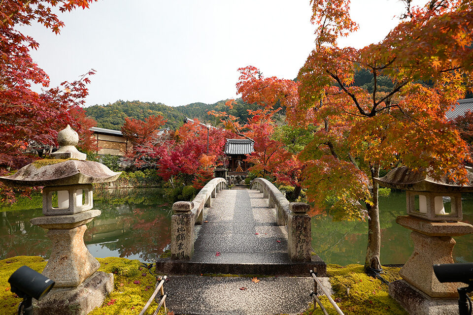 永観堂 紅葉 京都
