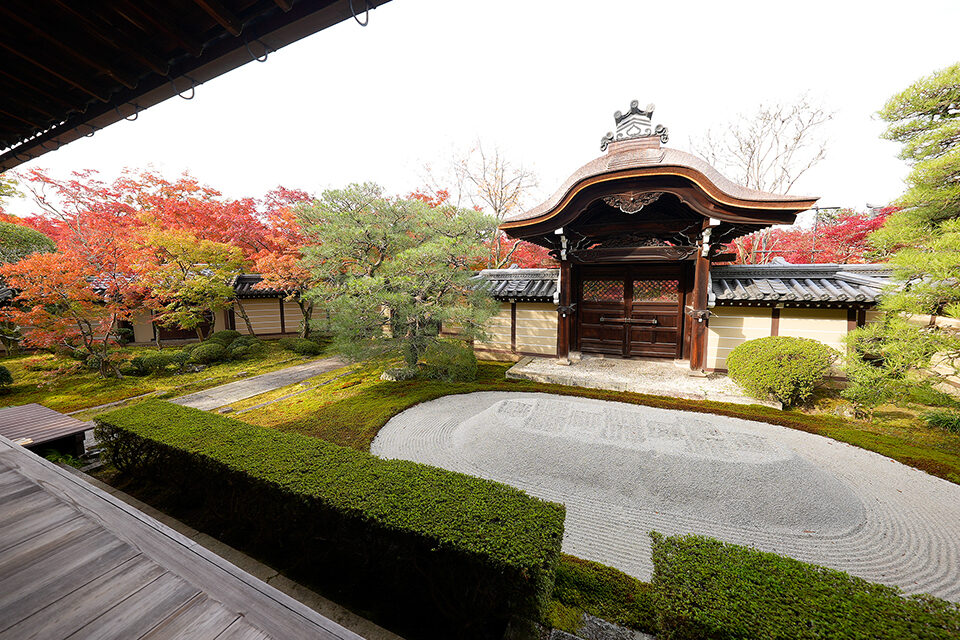 永観堂 紅葉 京都