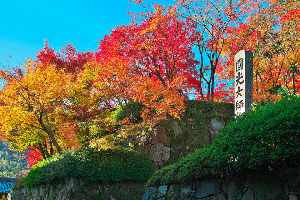 光明寺 紅葉