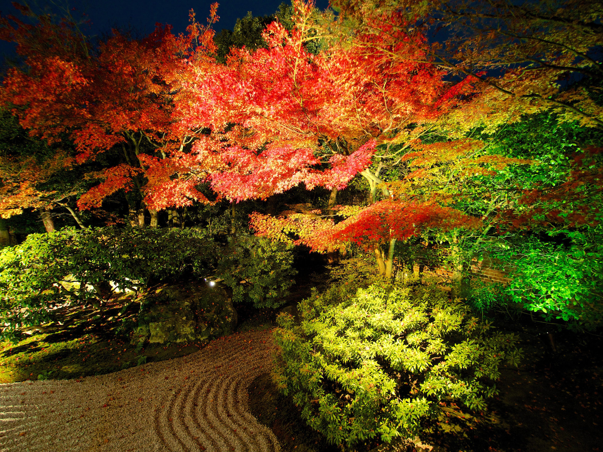 紅葉