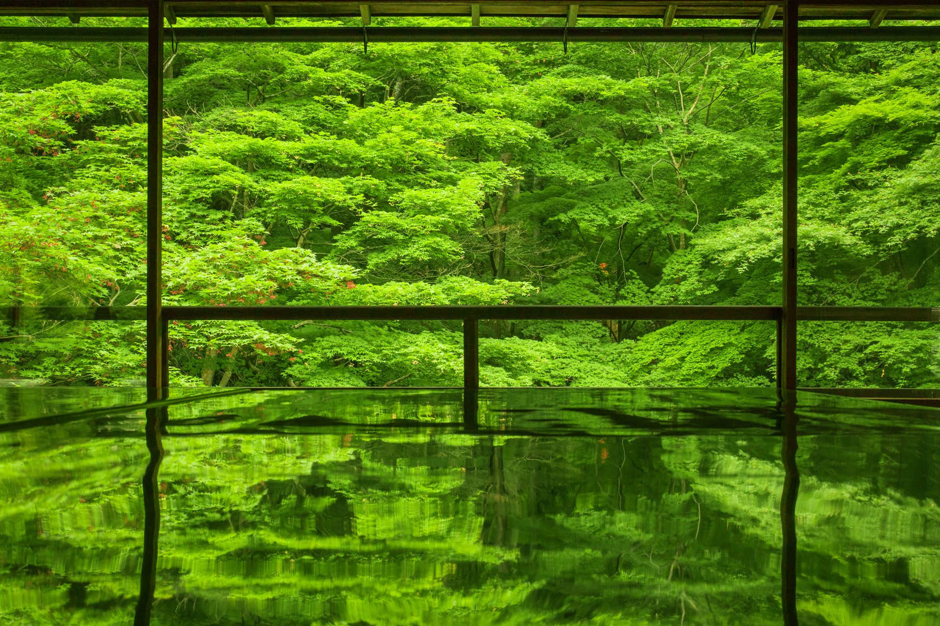 京都 瑠璃光院 青紅葉