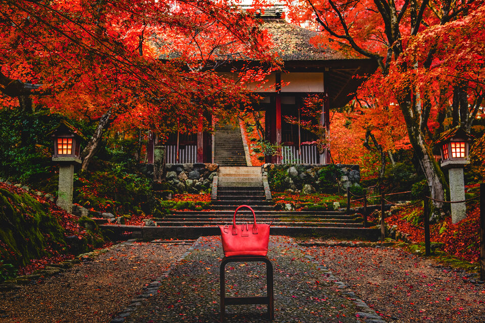 常寂光寺 紅葉 カエデ京都コルテオ