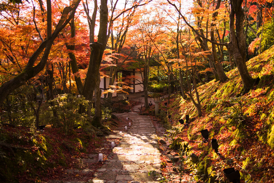 常寂光寺 紅葉 京都
