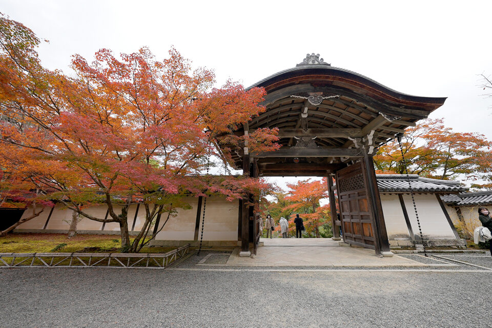 二尊院 紅葉 京都