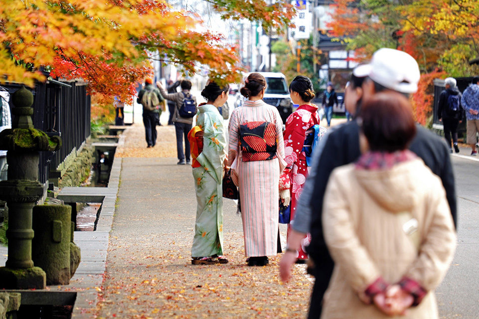 京都紅葉旅行