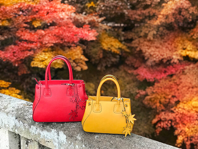 源光庵 紅葉 京都