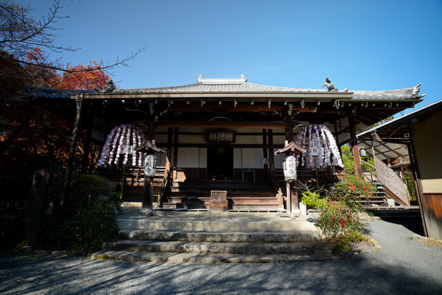 常照寺 京都 紅葉
