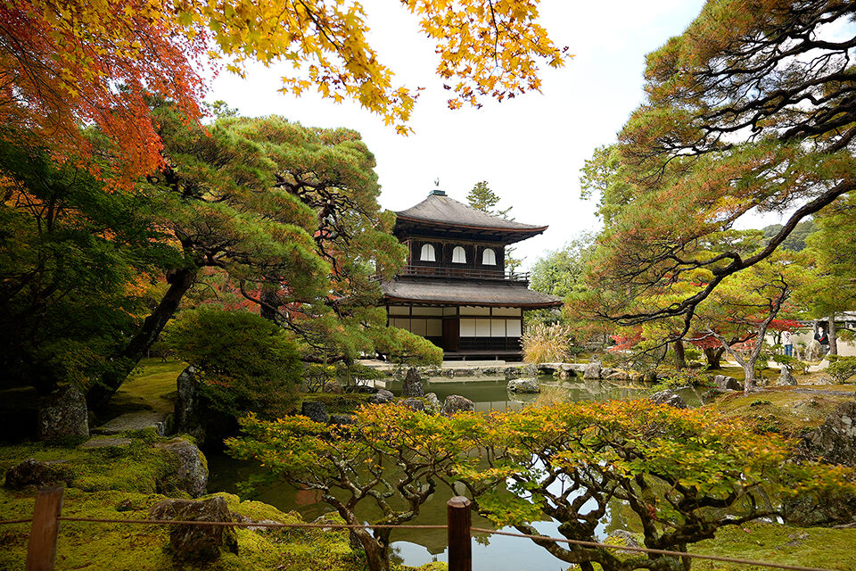銀閣寺 紅葉 京都