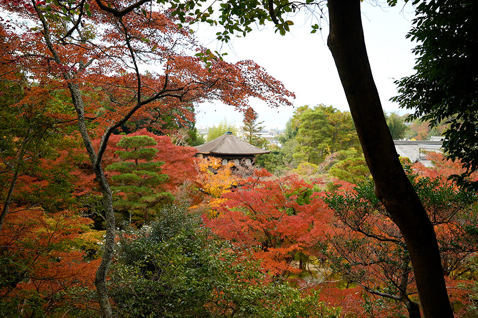 銀閣寺 紅葉 京都