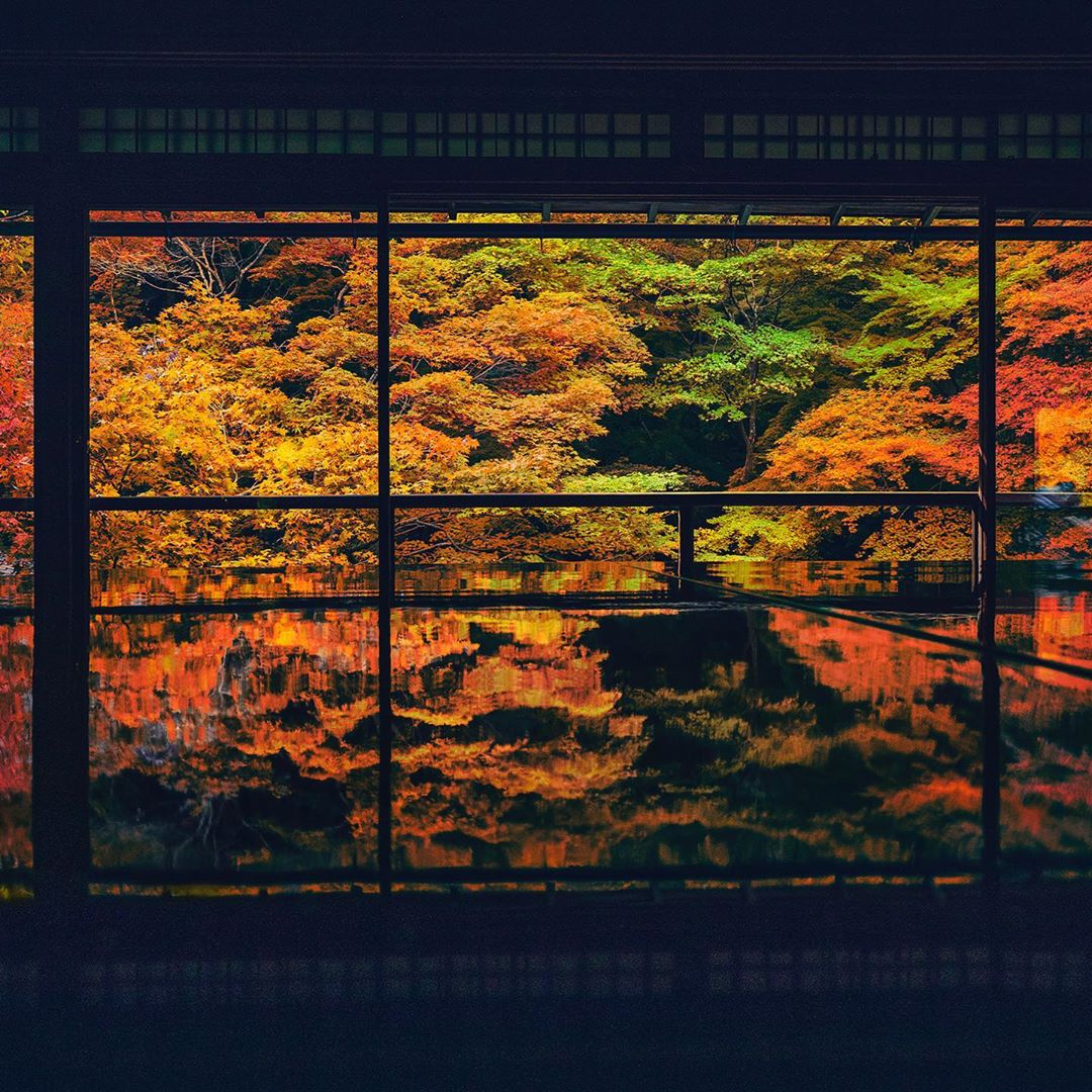 京都 瑠璃光院 紅葉