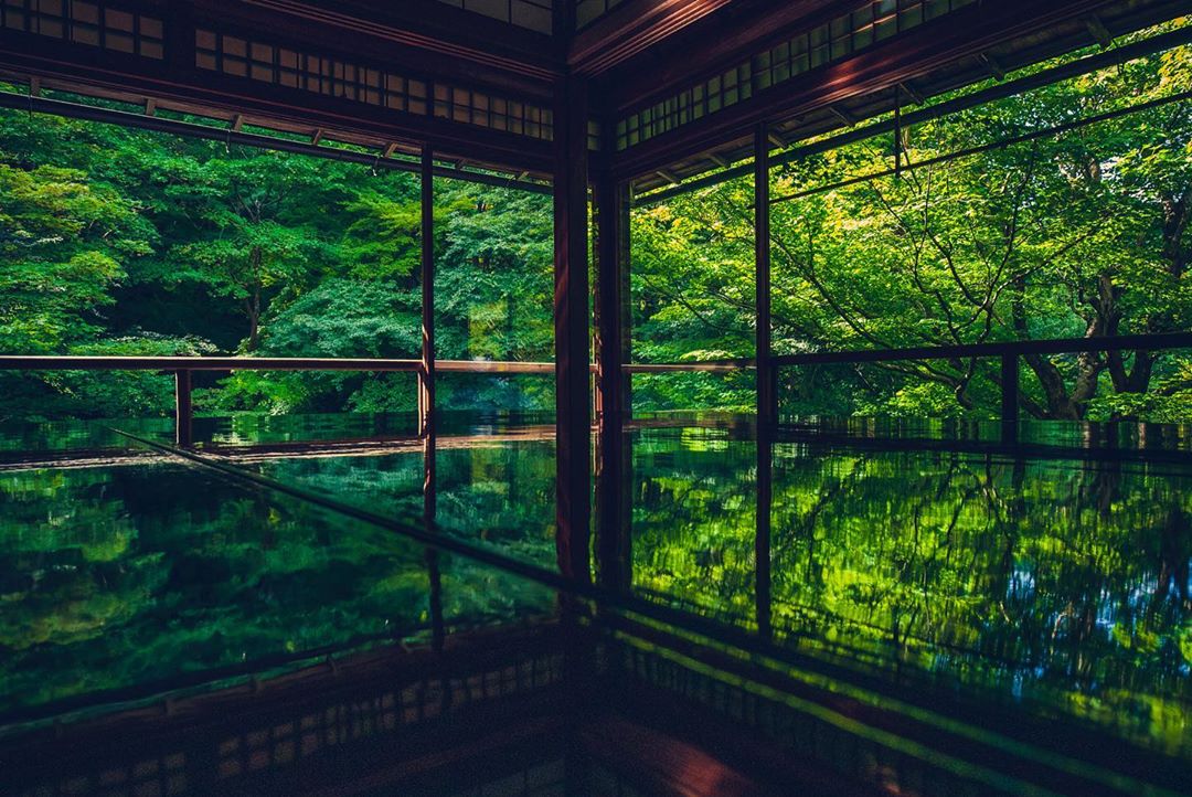 京都 瑠璃光院 青紅葉