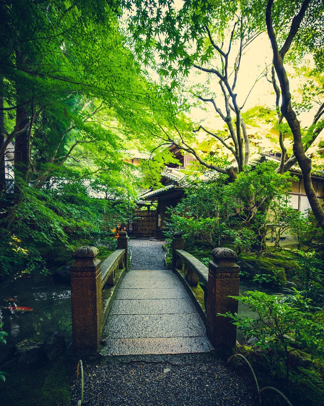 京都 瑠璃光院 青紅葉