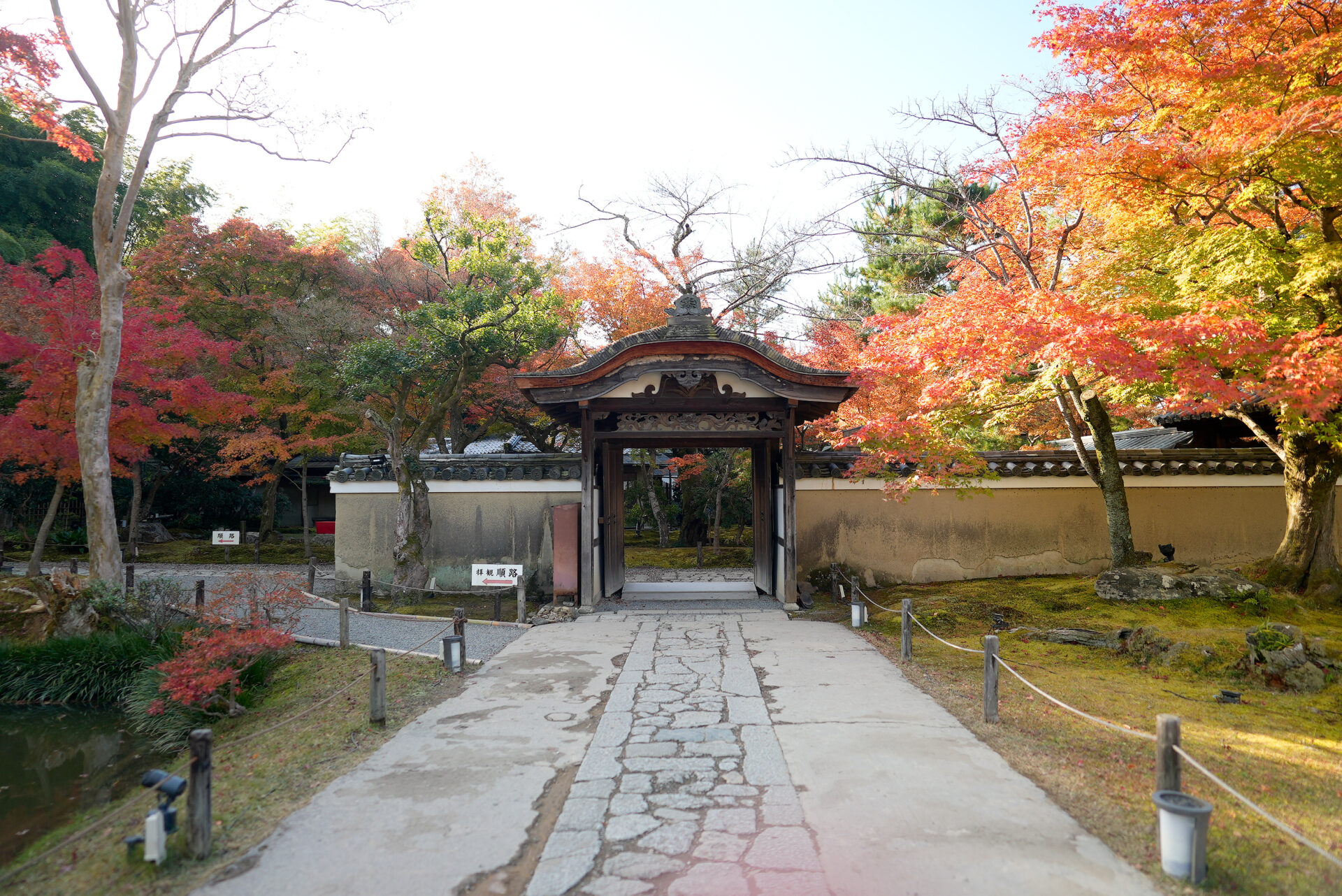 高台寺 紅葉