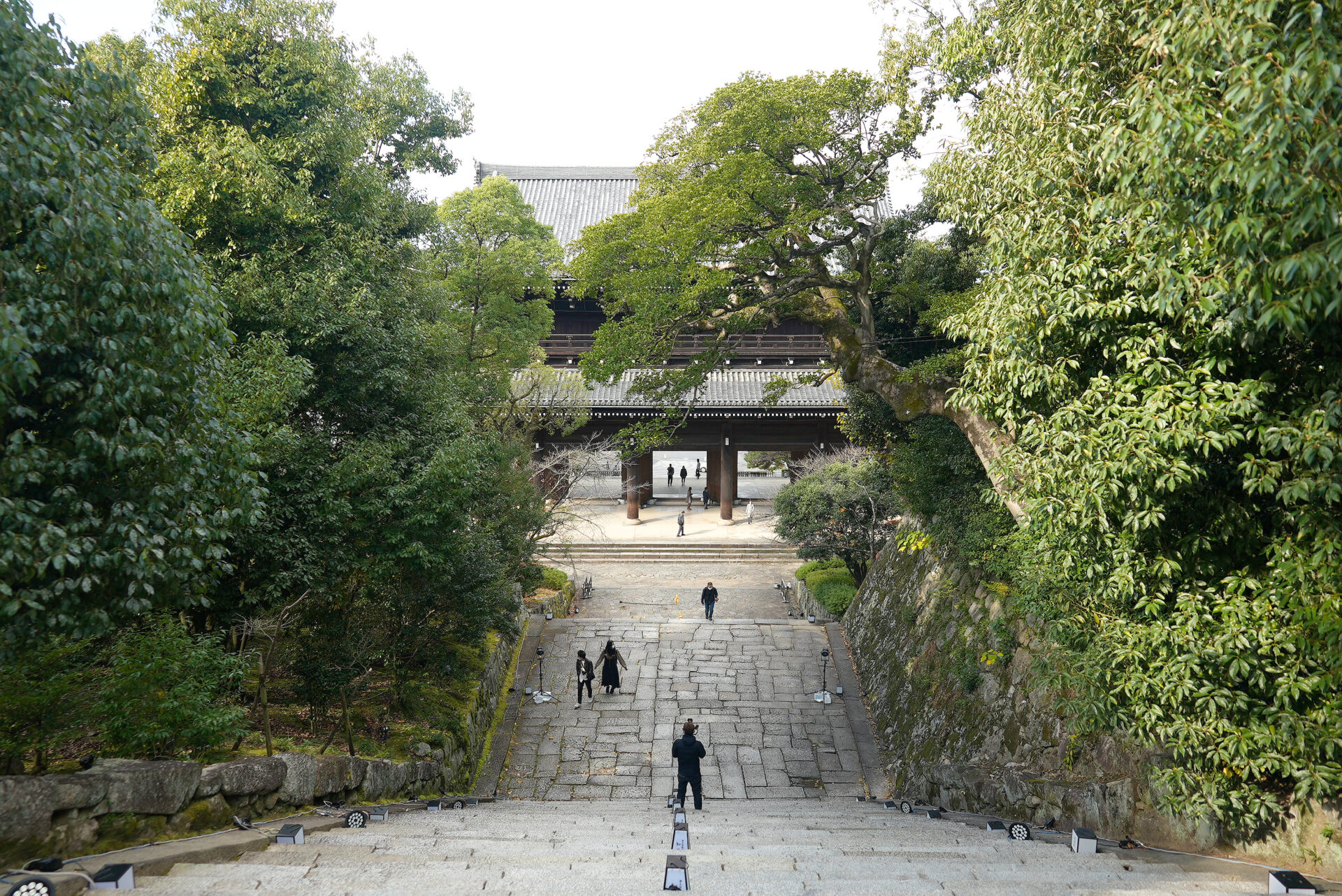 知恩院 紅葉