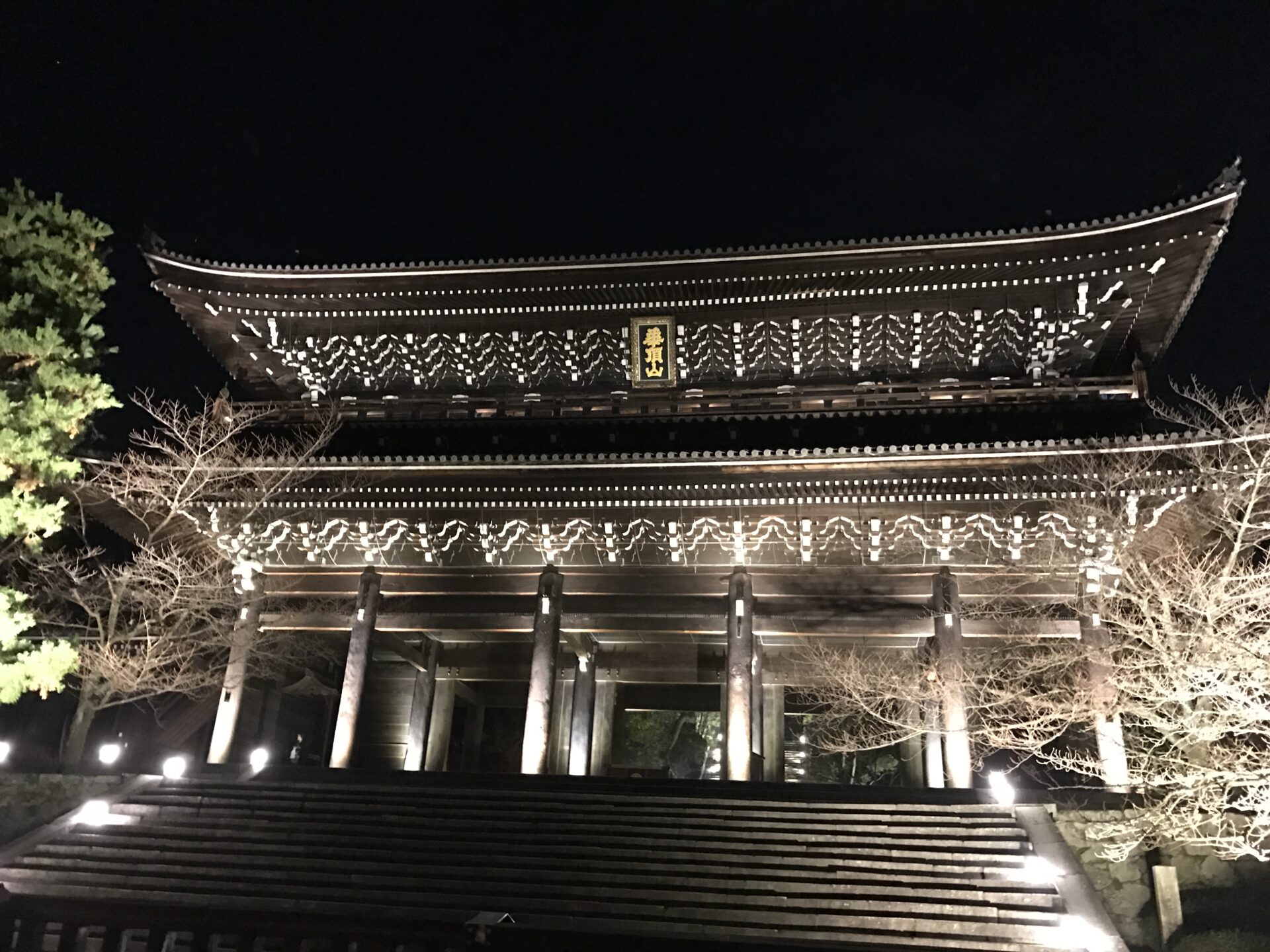 知恩院 紅葉 ライトアップ