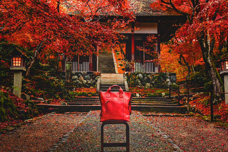 寂光院 京都 紅葉
