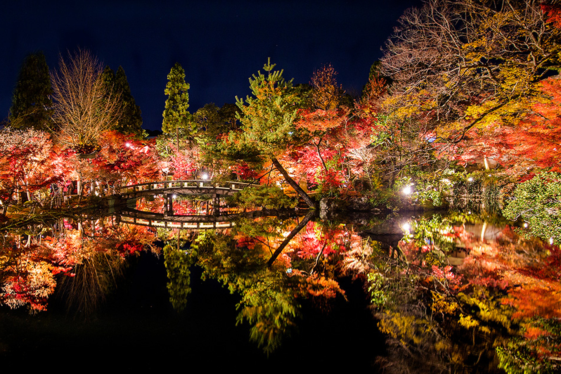 永観堂(禅林寺) 紅葉