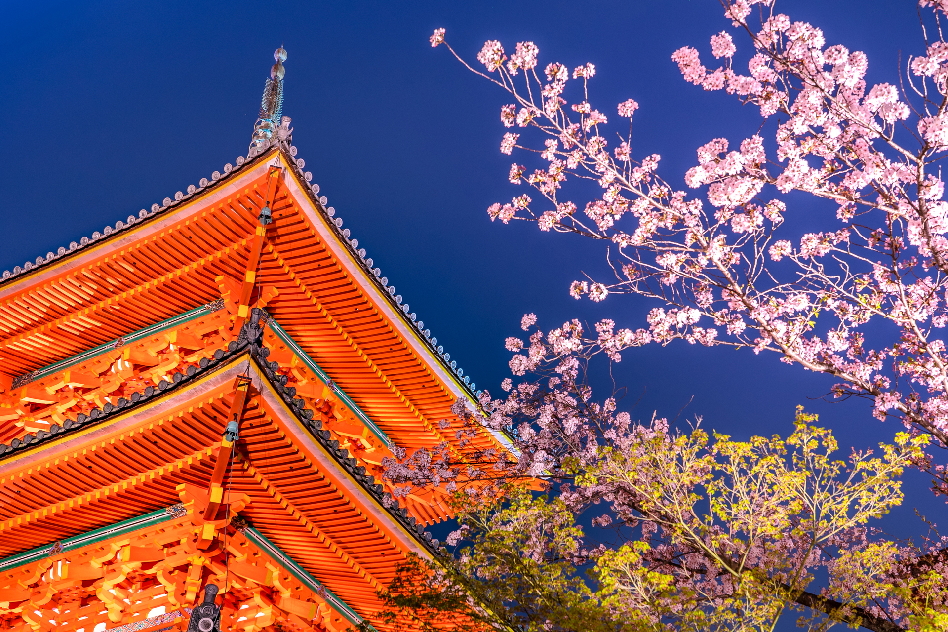 清水寺 京都 紅葉
