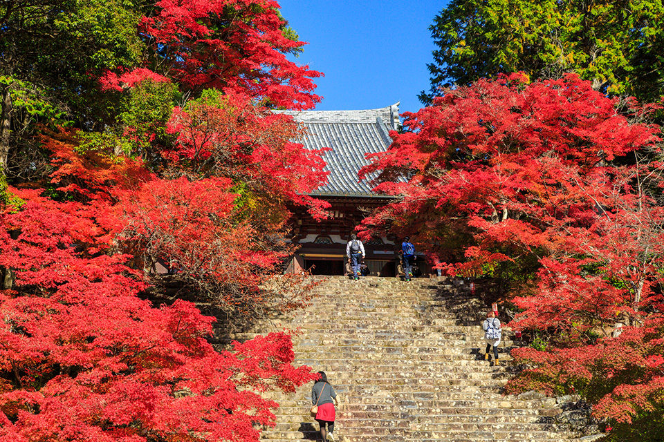 神護寺 紅葉