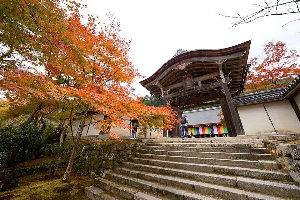 二尊院　紅葉　京都
