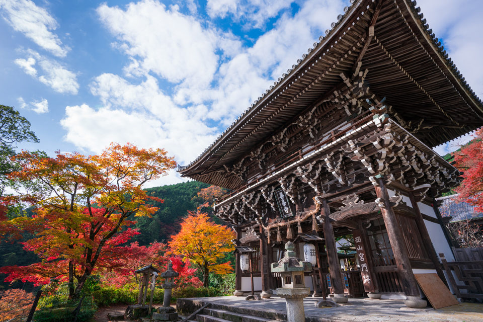京都善峯寺の山門と紅葉