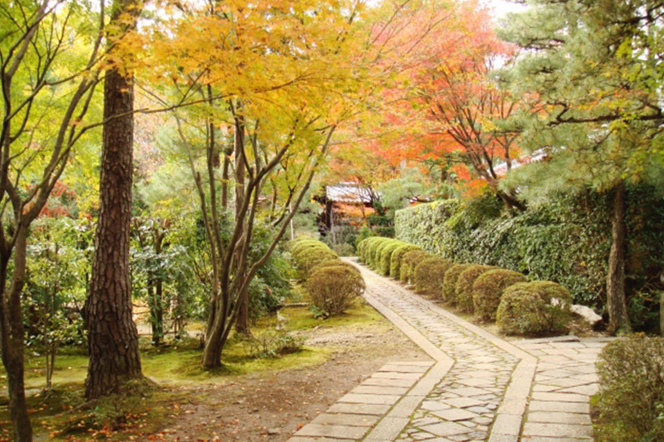 京都の秋に浸りたいなら大徳寺！美しい紅葉を堪能することができる見どころをご紹介！！