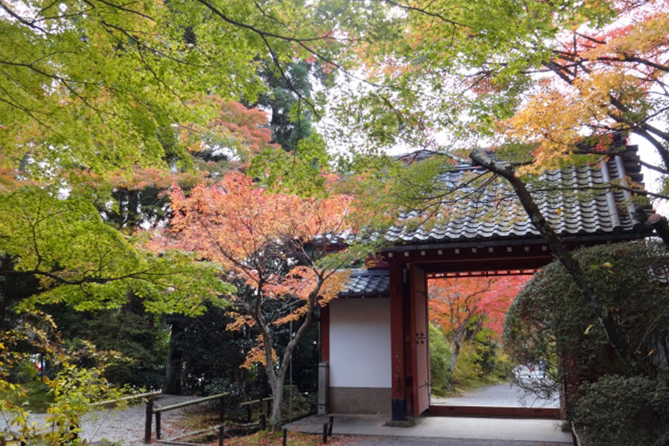 常照寺の紅葉