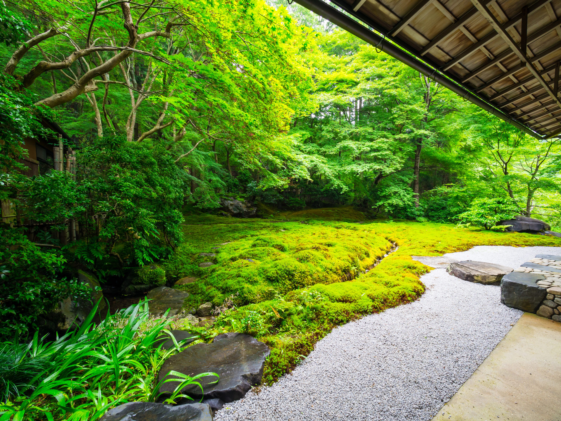京都 瑠璃光院 青紅葉