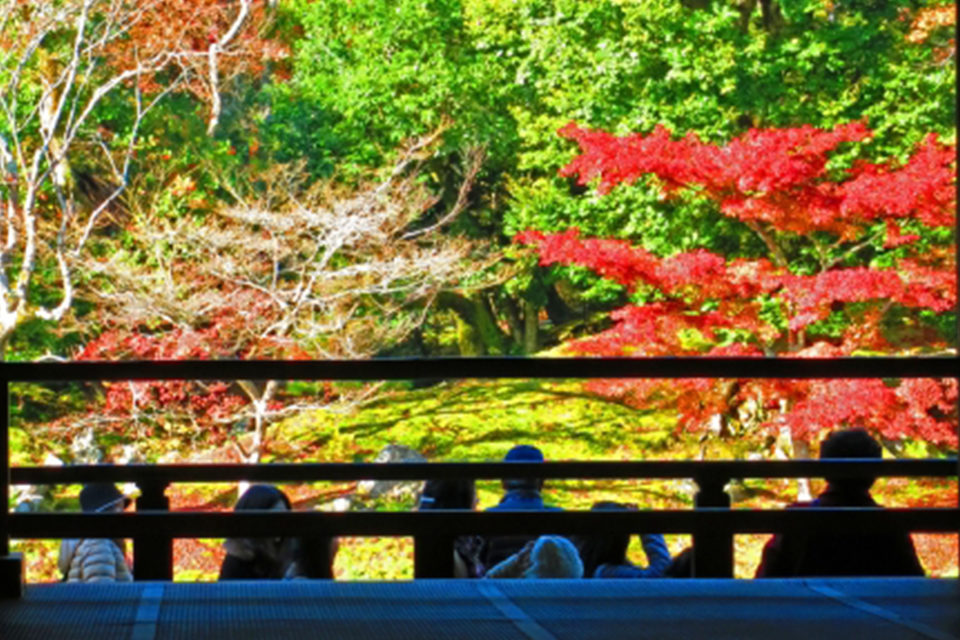 曹源池庭園