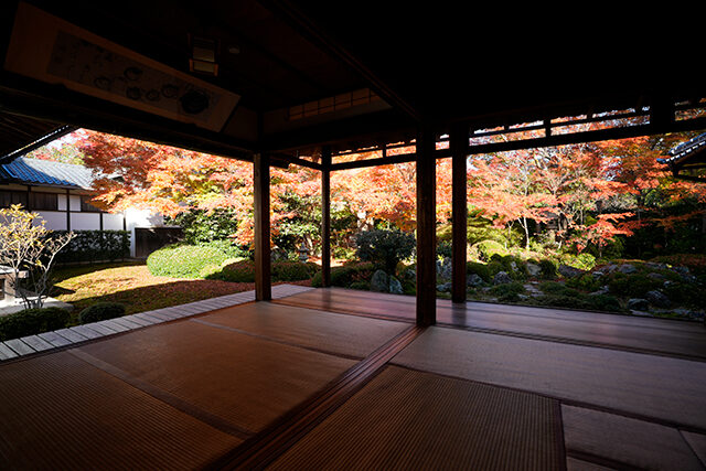 源光庵 紅葉 京都
