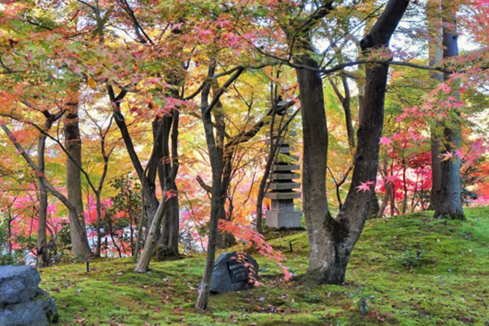 紅葉永観堂
