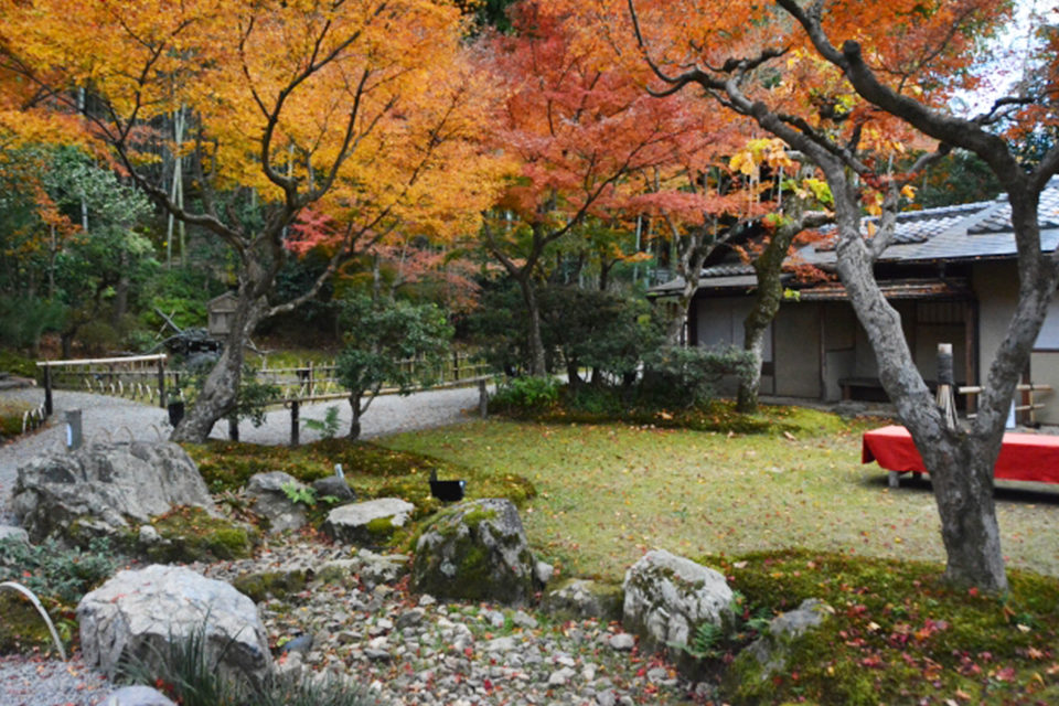 京都でも屈指の名所！昼間の紅葉を楽しむ紅葉スポット・昼間から日没後まで堪能できる紅葉スポットをご紹介！！