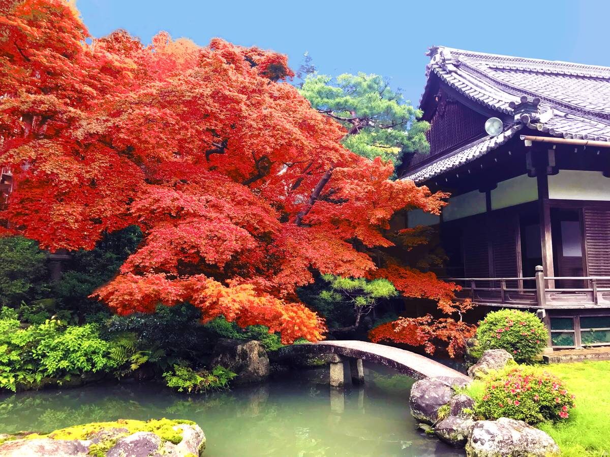 相阿弥作の池泉回遊式庭園 京都 紅葉