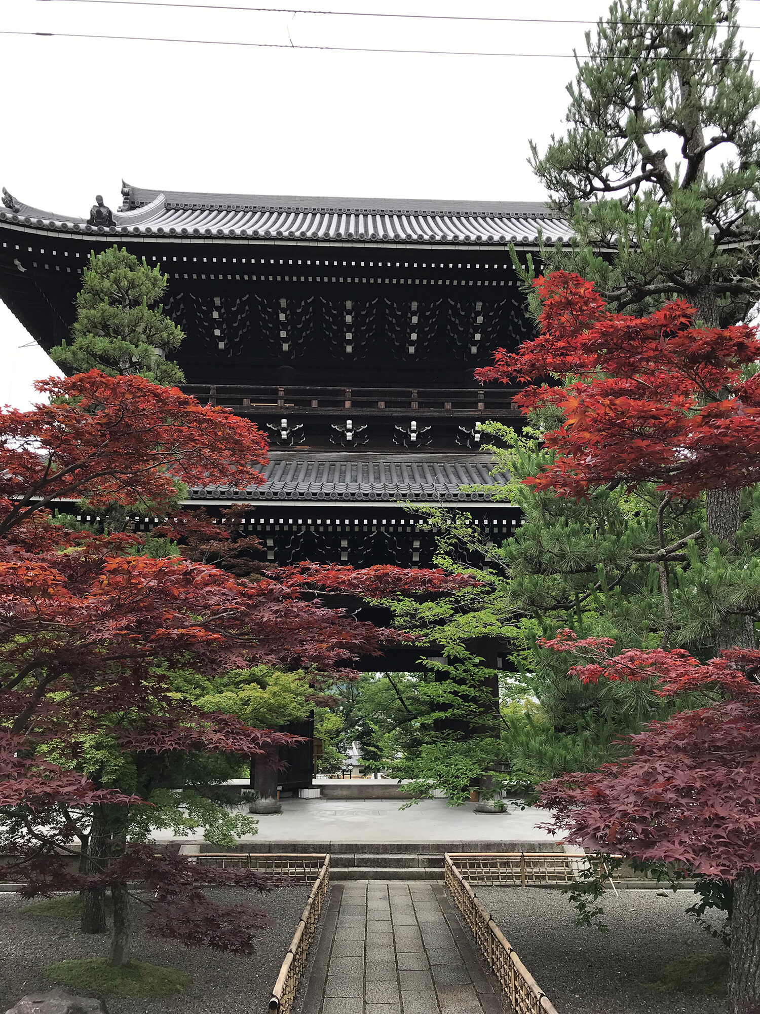 真如堂 京都 紅葉