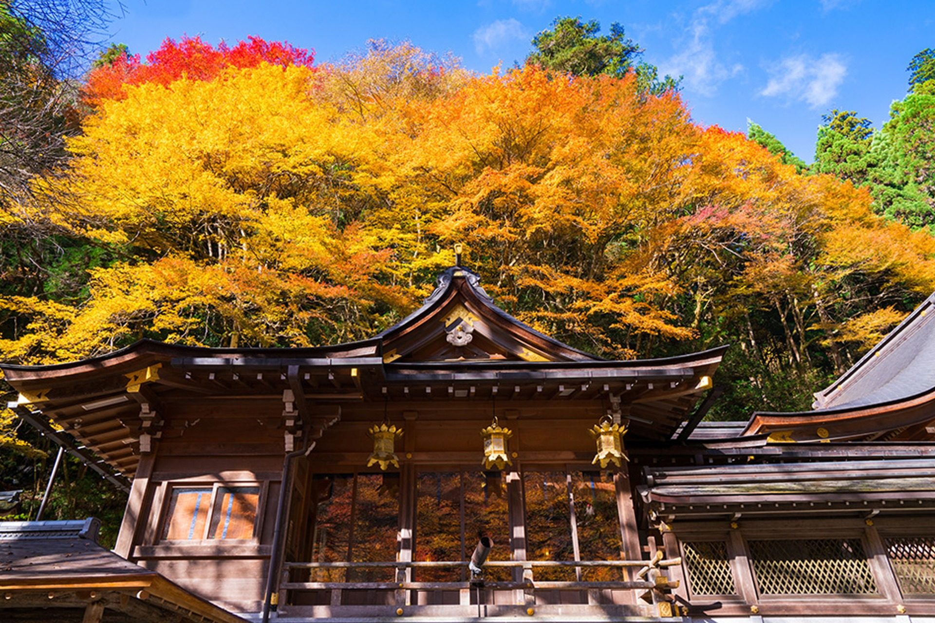 貴船神社 京都 紅葉