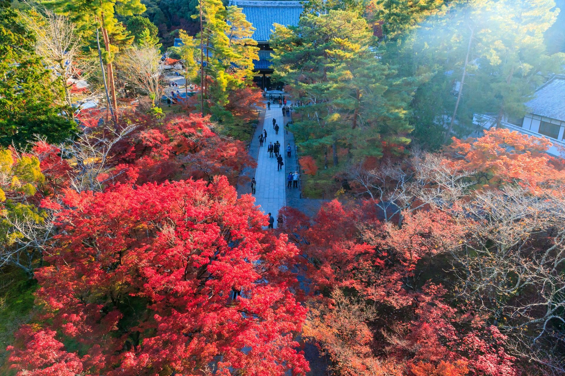 南禅寺 京都 紅葉