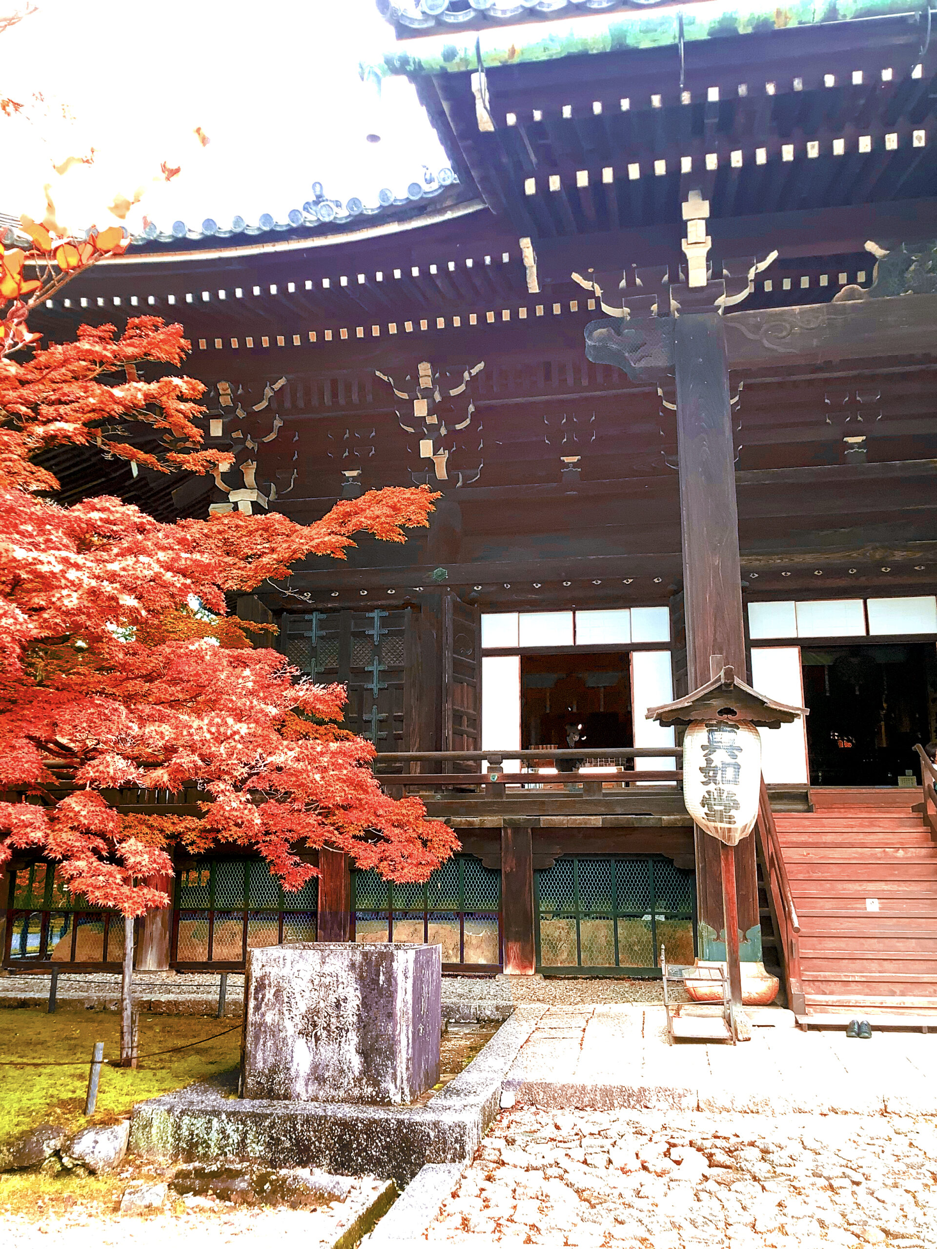 真如堂 京都 紅葉