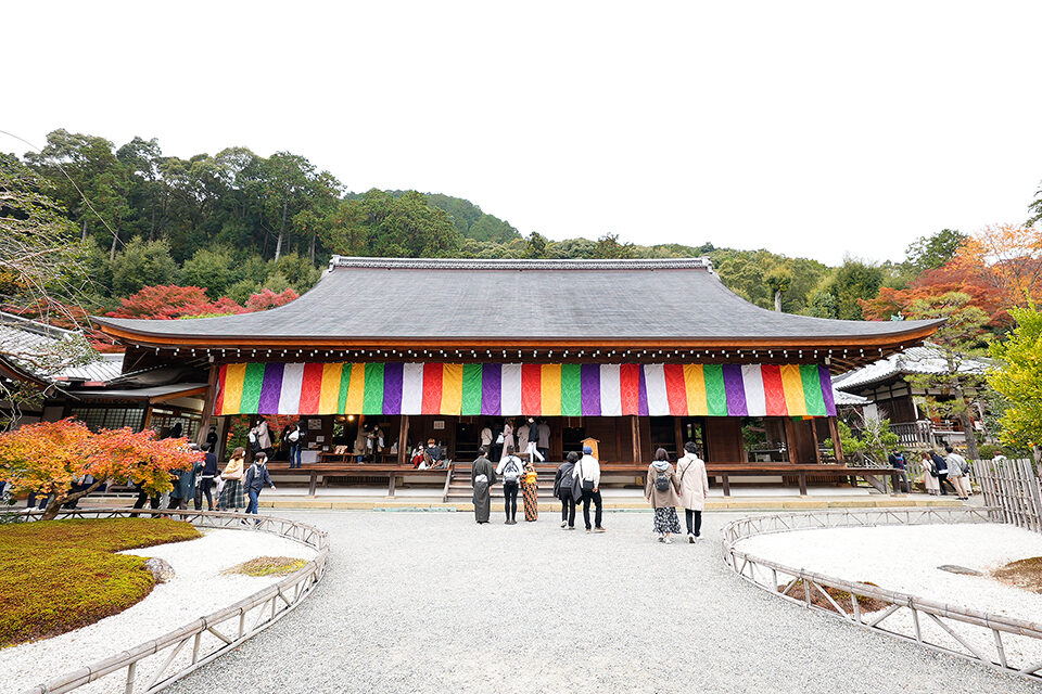 二尊院 京都 紅葉