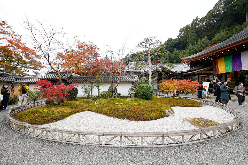 二尊院 京都 紅葉