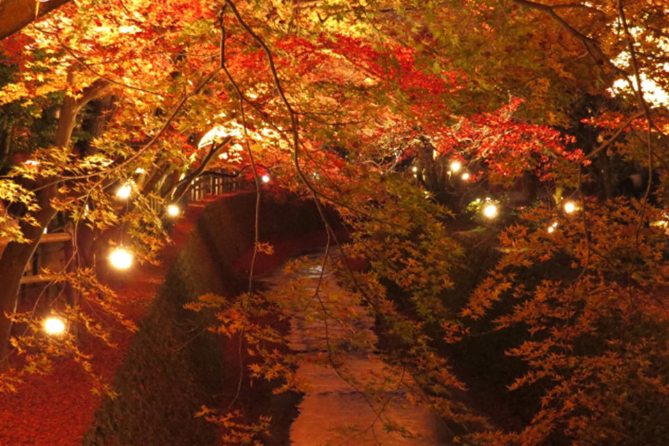 北野天満宮の川