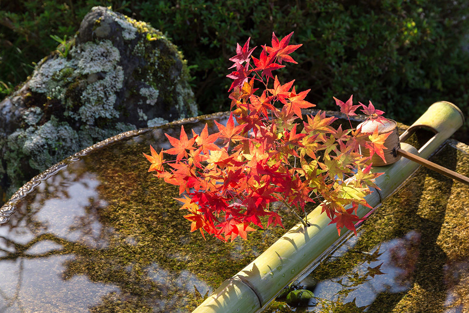 圓光寺の水琴窟