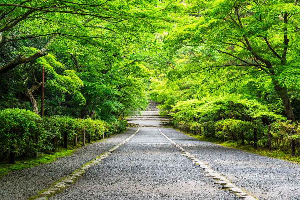 嵐山・嵯峨野