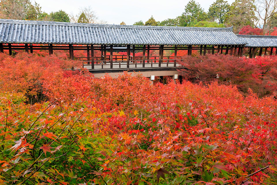東大寺のように興福寺のように