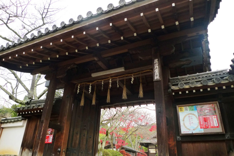京都・山科毘沙門堂で紅葉を楽しむ！最も紅葉が美しいとされる見ごろや見どころに加えて、気軽に立ち寄れる周辺の観光スポットもご紹介！