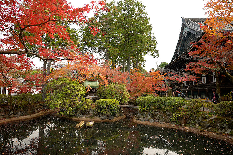 真如堂 紅葉 京都