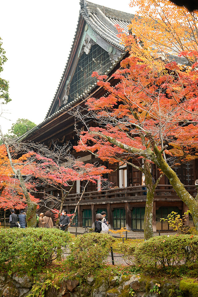 真如堂 紅葉 京都